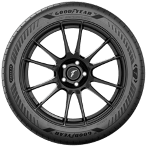 F1 ASYMM6