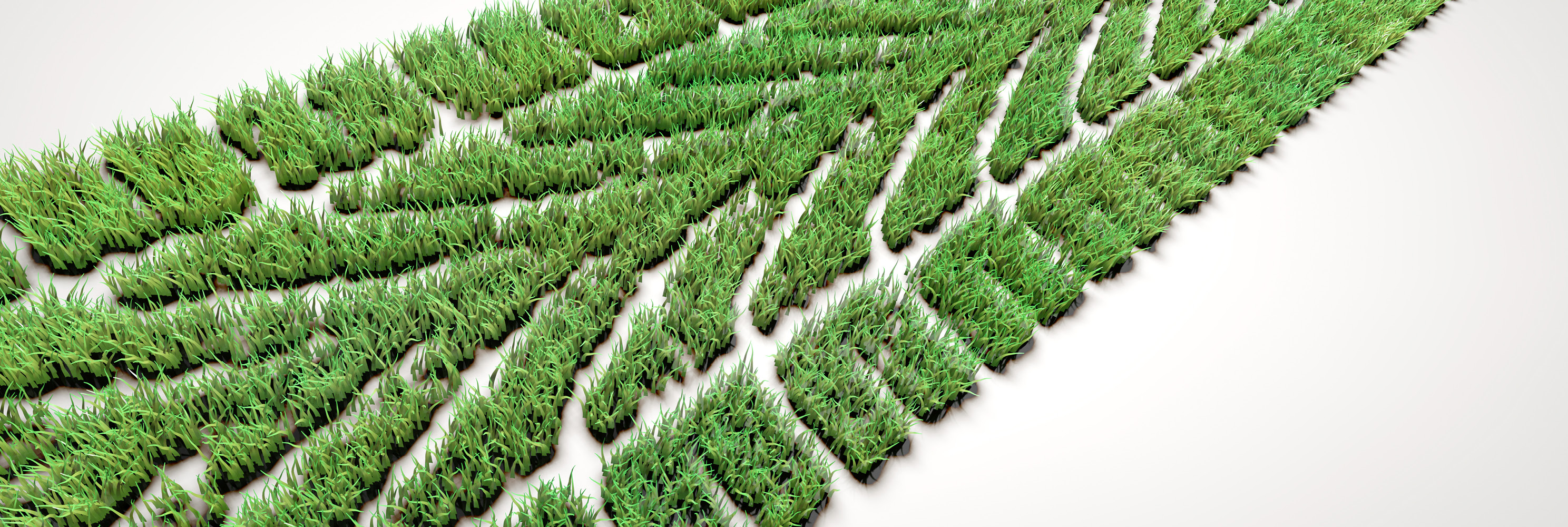 P1817 Q Team Website Eco Tyres Banner Desktop V1